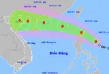 Áp thấp nhiệt đới tăng cường độ thành bão WIPHA