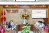 Lâm Đồng xúc tiến loạt dự án năng lượng, đường dây 500kV hơn 9.100 tỷ đồng