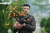 Dự báo thời tiết ngày 4/2: Miền Bắc rét đậm cục bộ