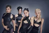 Người hâm mộ thất vọng vì BlackPink