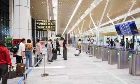 Chuyên gia: Nhà ga T3 bị dột là lỗi lớn nhà thầu thi công
