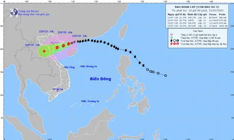 Bão Wipha cách Quảng Ninh 120km và có khả năng mạnh thêm