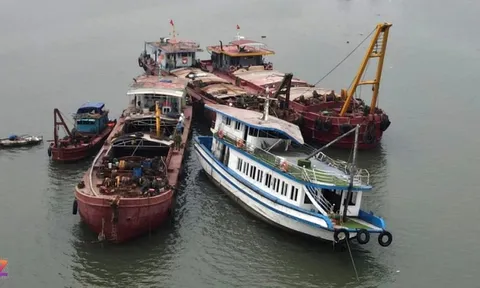 Công ty bảo hiểm chi trả 1,2 tỷ đồng vụ lật tàu ở Hạ Long