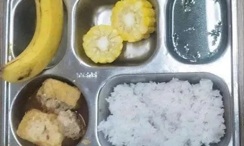 Không học nổi vì cơm bán trú không đủ no