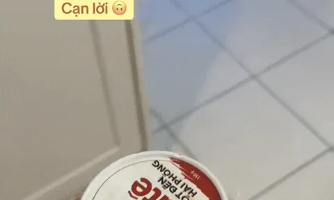 Dân mạng thả 'bão phẫn nộ', ném đồ hộp Hạ Long vào thùng rác