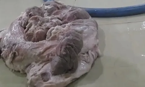 Nhiều trường ở TP.HCM tạm dừng ăn bán trú