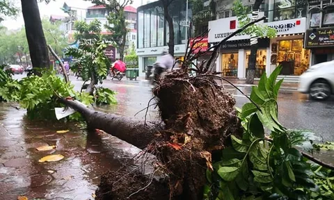 Chủ tịch UBND Thành phố Hà Nội ký công điện về việc chủ động, tập trung ứng phó bão số 3