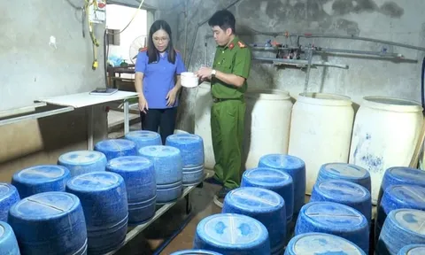 Khởi tố người phụ nữ dùng hóa chất sản xuất 1,4 tấn giá đỗ