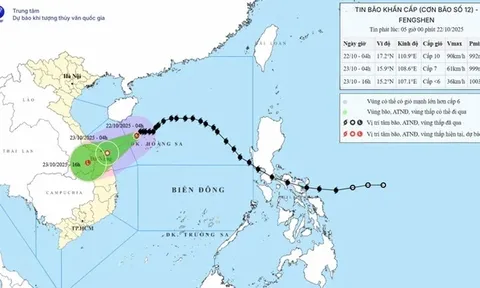 Bão Fengshen cách thành phố Đà Nẵng khoảng 310 km