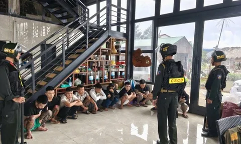 28 đối tượng tổ chức tiệc ma túy mừng sinh nhật trong homestay