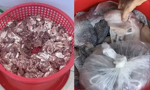 Công ty Đào Lượng bán cá ươn, thịt nhớt cho trường Tiểu học Chu Minh?
