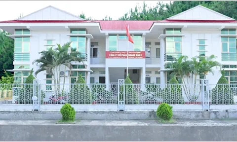 Vimico đã thu hồi 2 triệu cổ phiếu theo quyết định của UBCKNN?