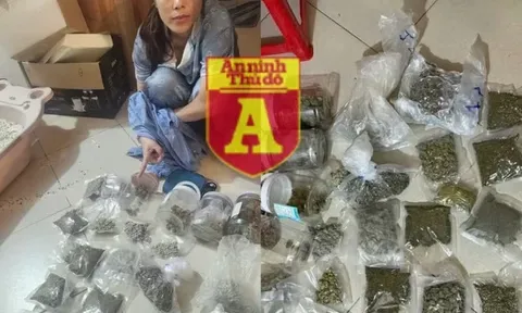 Bắt 'nữ quái' chuyên tiêu thụ cần sa qua dịch vụ giao hàng công nghệ