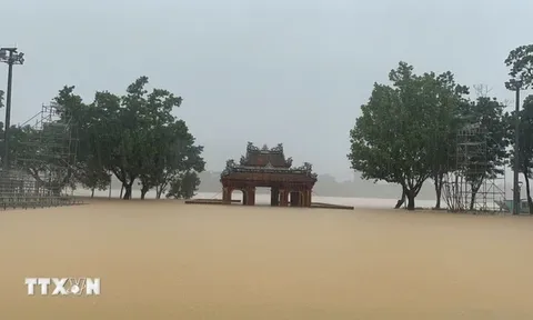 Bão Kalmaegi tăng cấp, tiếp tục hướng về khu vực giữa Biển Đông