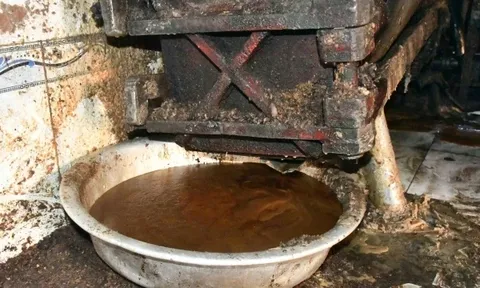 Cơ sở nấu mỡ bẩn nằm giữa... nghĩa trang