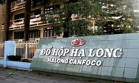 Vụ 120 tấn thịt lợn nhiễm dịch: Công ty CP Đồ hộp Hạ Long cho rằng mình chỉ “bị liên đới"