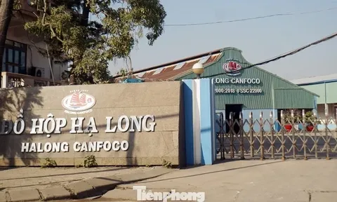 'Phù phép' thịt lợn dịch bệnh thành thịt hộp và pate hảo hạng của công ty Cổ phần đồ hộp Hạ Long