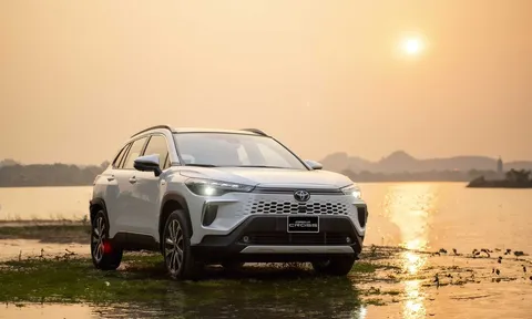 Thị trường xe hybrid Việt chia 2 nửa buồn vui