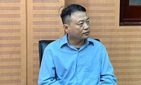 Shark Bình và Mr Pips đã thông đồng làm giả dữ liệu như thế nào?