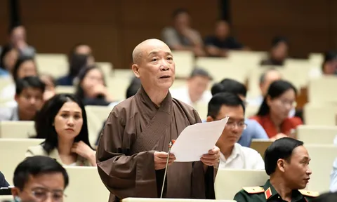 Khuyến khích đại biểu thực hiện giám sát chuyên sâu theo lĩnh vực có thế mạnh