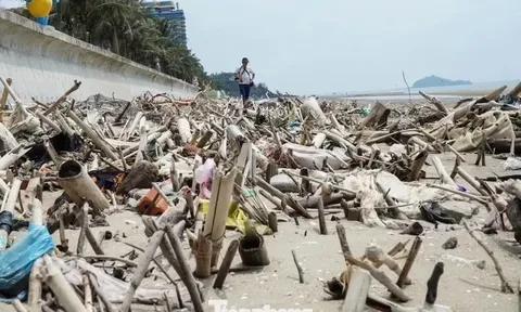 Cảnh tượng 'kinh hoàng' ở bãi biển Hải Tiến Thanh Hóa