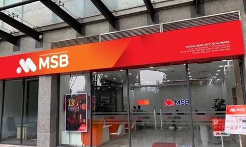 Thanh tra NHNN xử phạt vi phạm hành chính ngân hàng Hàng hải (MSB) 50 triệu đồng