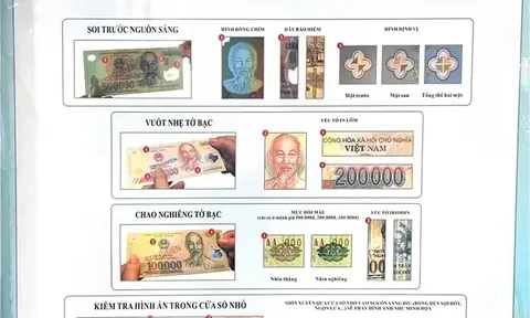 Cảnh báo xuất hiện tiền giả loại mới mệnh giá 100.000 đồng và 200.000 đồng
