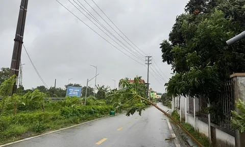 Móng Cái, Quảng Ninh nhiều nhà dân bị tốc mái