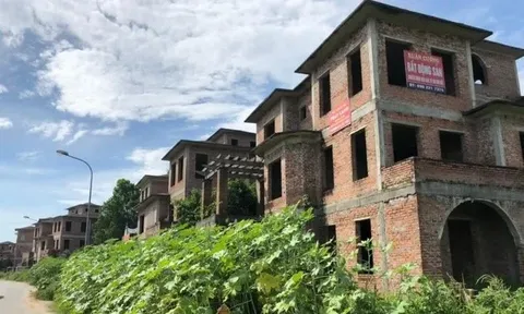 Đề xuất áp thuế cao với đất bỏ hoang, mua bán 'lướt sóng'