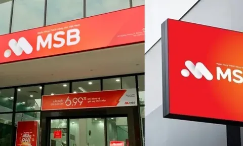 Bốn ngân hàng MSB, OCB, VPBank và Sacombank bị 'qua mặt' bằng giấy tờ giả