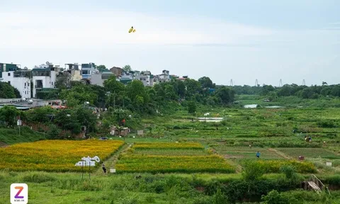 Chi tiết Quy hoạch phân khu đô thị sông Hồng sau điều chỉnh