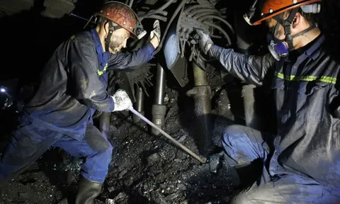 TKV nộp ngân sách Nhà nước tăng 7% so với 5 tháng cùng kỳ năm 2024