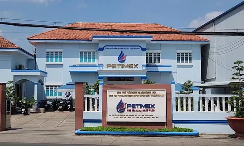 Chuyển Bộ Công an điều tra Petimex bán 185 triệu lít xăng dầu trị giá 2.841 tỉ không có chứng từ