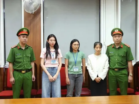 Khởi tố, bắt tạm giam hoa hậu Thùy Tiên