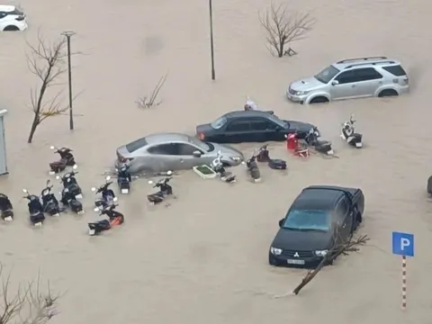 Lũ dữ bủa vây chung cư ở Quy Nhơn, xót xa nhìn ôtô ngập 'mất dạng'