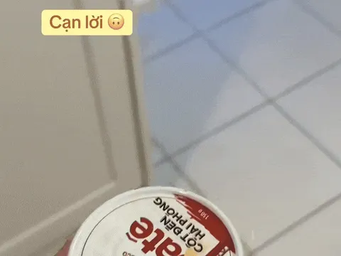 Dân mạng thả 'bão phẫn nộ', ném đồ hộp Hạ Long vào thùng rác