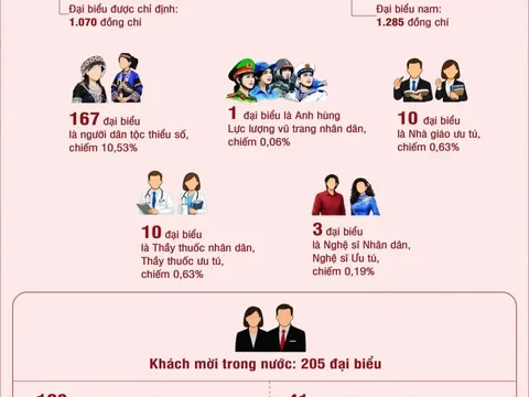 Cơ cấu, thành phần đại biểu dự Đại hội XIV của Đảng