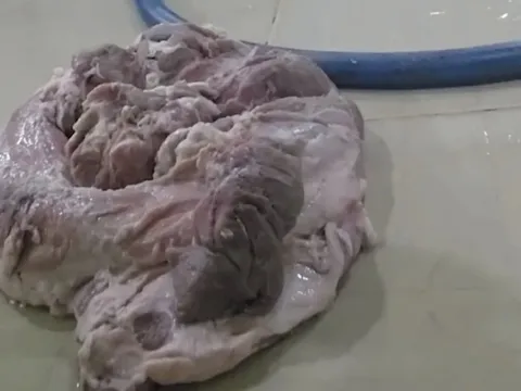 Nhiều trường ở TP.HCM tạm dừng ăn bán trú