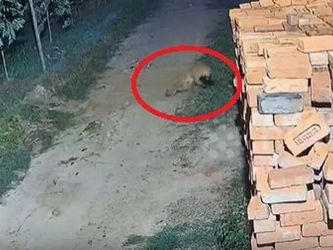 Camera giám sát ghi lại cảnh tượng "nổi da gà" diễn ra trong chớp mắt