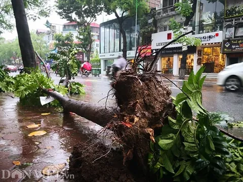 Chủ tịch UBND Thành phố Hà Nội ký công điện về việc chủ động, tập trung ứng phó bão số 3