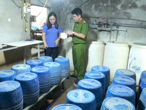 Khởi tố người phụ nữ dùng hóa chất sản xuất 1,4 tấn giá đỗ
