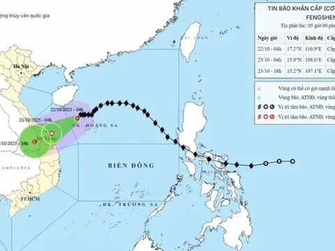 Bão Fengshen cách thành phố Đà Nẵng khoảng 310 km