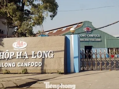 'Phù phép' thịt lợn dịch bệnh thành thịt hộp và pate hảo hạng của công ty Cổ phần đồ hộp Hạ Long