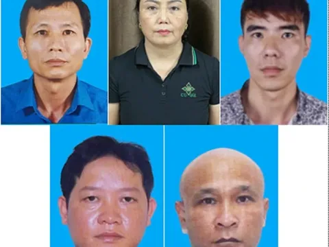 Bắt khẩn cấp Tổng giám đốc Công ty CP Đồ hộp Hạ Long