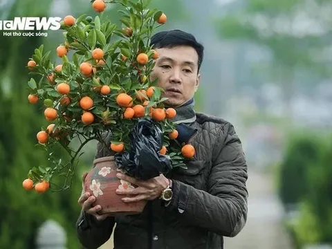 Dự báo thời tiết ngày 4/2: Miền Bắc rét đậm cục bộ