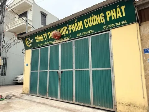 Hành trình triệt phá đường dây giết mổ, tiêu thụ 300 tấn thịt lợn bệnh