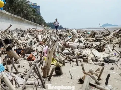 Cảnh tượng 'kinh hoàng' ở bãi biển Hải Tiến Thanh Hóa