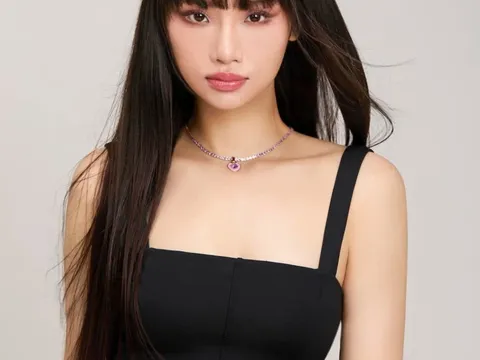 Miu Lê bị Công ty quản lý gạch tên
