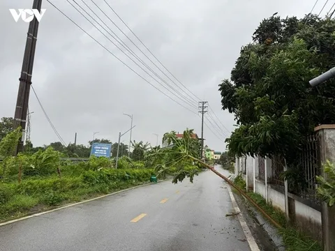 Móng Cái, Quảng Ninh nhiều nhà dân bị tốc mái