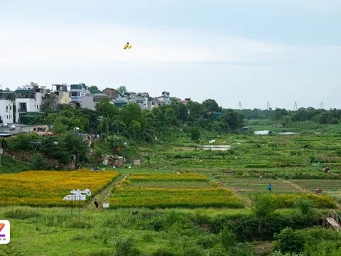 Chi tiết Quy hoạch phân khu đô thị sông Hồng sau điều chỉnh